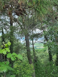 Istra, Buje, Kaštel, gradbeno zemljišče 872m2, pogled na morje