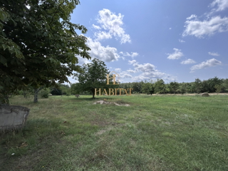 Istra, Žminj, gradbena parcela 2200m2, prodaja
