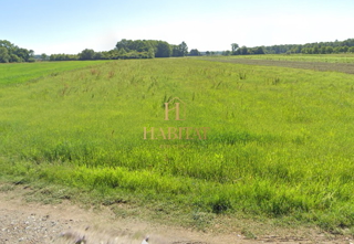 Slavonija, Ruščica, Slavonski Brod, gradbeno zemljišče 3500m2, 40€/m2