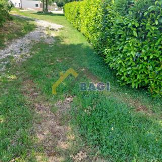 Istra - Velika gradbena parcela 1143m2