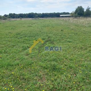 Loborika - Gradbeno zemljišče 1085m2 za stanovanjsko stavbo