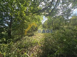 KRNICA – Kmetijsko zemljišče 3.854 m²