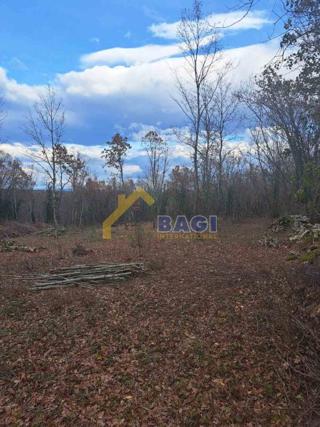 GRADBENO ZEMLJIŠČE – KRINGA 1.150 m²