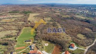 Veliko kmetijsko zemljišče 60928m2 s 450 oljkami - VODA - ELEKTRIKA