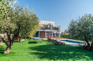 VODNJAN - čudovita vila z oljčnim nasadom