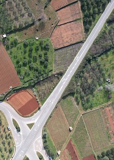 Prodamo vinograd Plavac Mali na otoku Hvaru