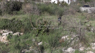 Stavbno zemljišče, 730 m2, Vodice, 137.750 €
