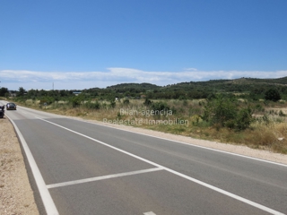 Zemljišče Vodice, 10.000m2
