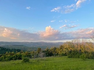 Zemljišče Krušvari, Buzet, 20.000m2