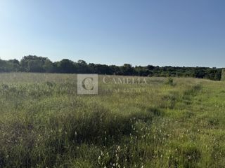 Zemljišče Krnica, Marčana, 22.800m2