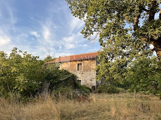 Zemljišče Oprtalj, 4.500m2