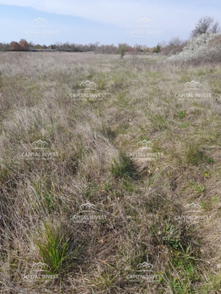 Kmetijsko zemljišče Smoljanci, Svetvinčenat