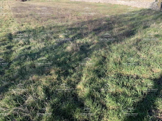 Gradbeno zemljišče, okolica Barbana, Istra