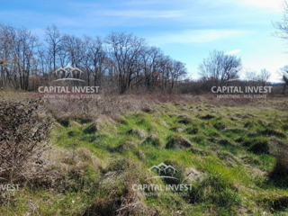 Gradbeno zemljišče, idejna zasnova, Krnica, Marčana, Istra