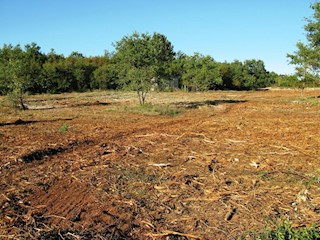 Poreč, 8km, stavbno zemljišče na robu urbanizacije