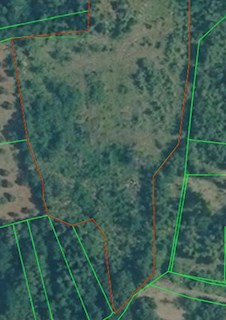 Kmetijsko zemljišče – 6.934 m², Baderna (Poreč)