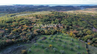Prodaja, zemljišče, kmetijska površina, Istarska županija, Rovinj