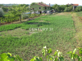 BARBAN, GRADBENO ZEMLJIŠČE V BLIŽINI VSEH ŽIVLJENJSKIH VSEBIN