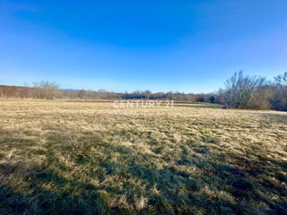 ŽMINJ, OKOLICA, ODLIČNO GRADBENO ZEMLJIŠČE S POGOSTIM POTENCIALOM