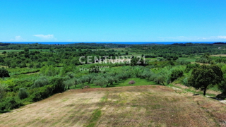 BUJE, OKOLICA, ATRAKTIVNO GRADBENO ZEMLJIŠČE S POGLEDOM NA MORJE