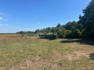 POREČ, LEPO GRADBENIŠKO ZEMLJIŠČE NA ZADNJI POLOŽAJ V GRADBENI ZONI