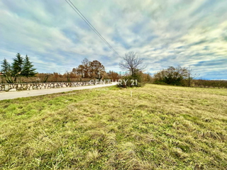 ŽMINJ, OKOLICA, ODLIČNO GRADBENO ZEMLJIŠČE