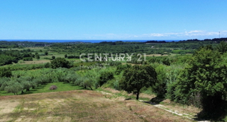 BUJE, ATRAKTIVNO GRADBENO ZEMLJIŠČE S PANORAMSKIM RAZGLEDOM NA MORJE