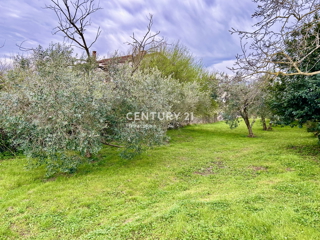 UMAG, GRADBENO ZEMLJIŠČE SAMO 1,5 KM OD MORJA