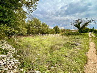 SVETI LOVREČ, OKOLICA, PRILOŽNOST, ODLIČNO GRADBENIŠKO ZEMLJIŠČE