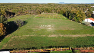 SVETVINČENAT, PUŠTI, PROSTORNO GRADBENO ZEMLJIŠČE, BLIZINA VSEH STORITEV