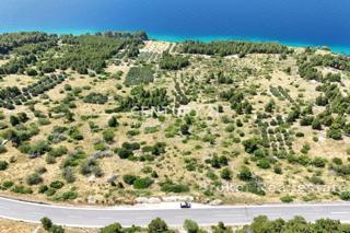 OMIŠ, PISAK, KMETIJSKO ZEMLJIŠČE (OLJČNJAK) 100 M OD MORJA