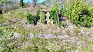 OPRTALJ, OKOLICA, RARITETA NA TRGU, ISTRSKA VAS