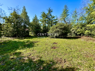 UMAG, GRADBENO ZEMLJIŠČE NA ENI NAJBOLJ PRIVLAČNIH LOKACIJ ZAHODNEGA OBALNEGA DELA ISTRE