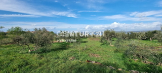 Pašman, Dobropoljana, Gradbeno zemljišče