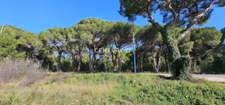 Biograd na Moru, Gradbeno zemljišče 924 m2, pravilne kvadratne oblike z izhodom na dve ulici