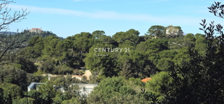 Tkon, otok Pašman, prodaja se gradbena parcela površine 1250 m2 z ostanki hiše stare 250 let