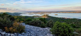 Tkon, otok Pašman, prodaja velike zapuščene oljčne nasade