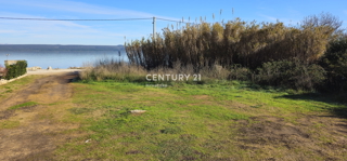 Pašman, Banj, gradbeno zemljišče, prvi vrsti do morja, površina 1760 m2