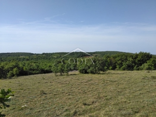 Višnjan - prodaja večje kmetijske parcele s pogledom na morje