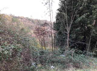 Kršan - prodaja kmetijskih zemljišč