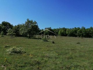 Višnjan - prodaja gozda 44.600m2