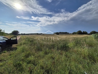 Kaštelir, Cerjani - prodaja velike kmetijske zemljišč