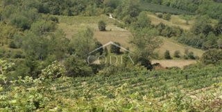 Novaki Motovunski - prodaja gozda