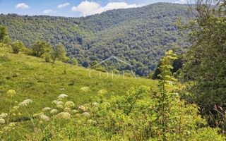 Veprinac  - prodaja kmetijskega zemljišča