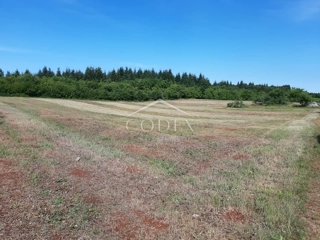Vižinada - prodaja kmetijskega zemljišča