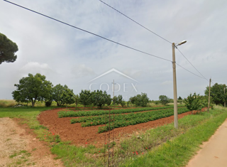 Kaštelir – prodaja zazidljivega zemljišča