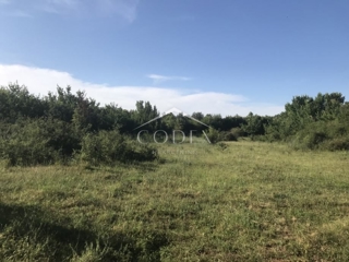 Barban - prodaja gradbenega zemljišča, 970 m2