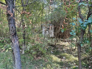 Svilno - prodaja gradbenega zemljišča