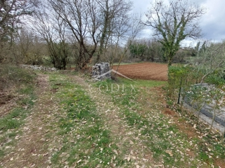 Kringa - prodaja gradbenega zemljišča za gradnjo hiše