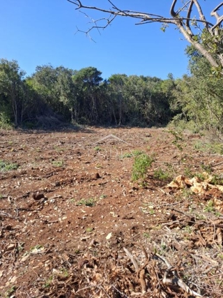 Zemljišče Ćunski, Mali Lošinj, 3.600m2